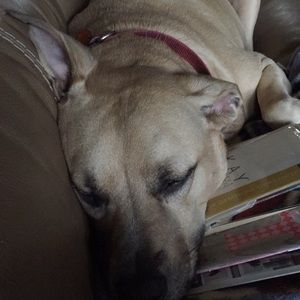 Meet your Posher, Ricki